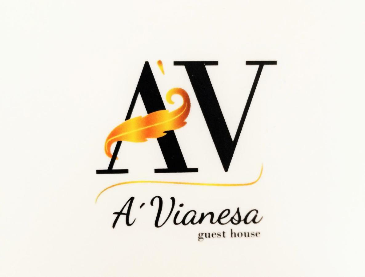 A Vianesa - Guest House Viana do Castelo Exteriör bild